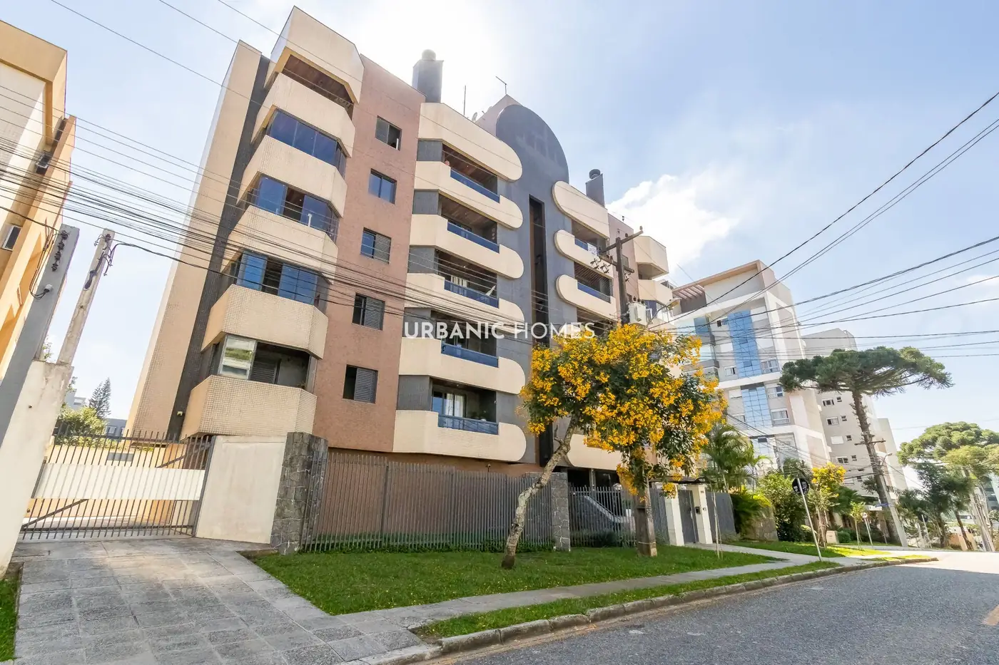 Fachada vista da rua, com ipe florido